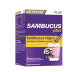 NUTRAXIN Sambucus plus 5in1 20саше