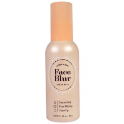 Face Blur Etude Hous